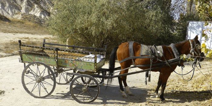 Pferdewagen mit Pferd