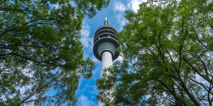 Fernmeldeturm zwischen Bäumen