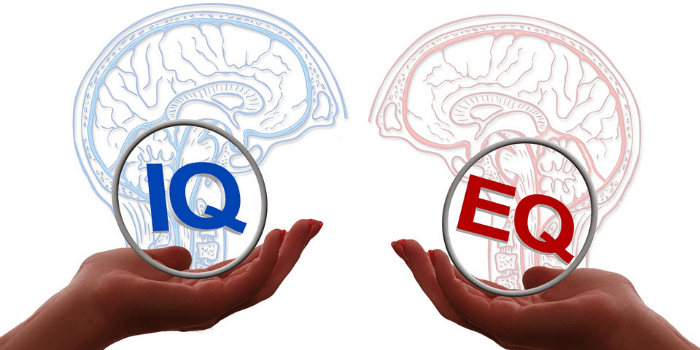 IQ versus EQ