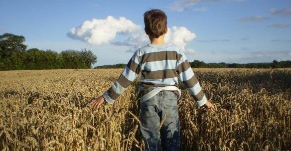 Junge läuft durch ein Weizenfeld