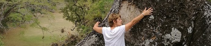 Frau umarmt Baum