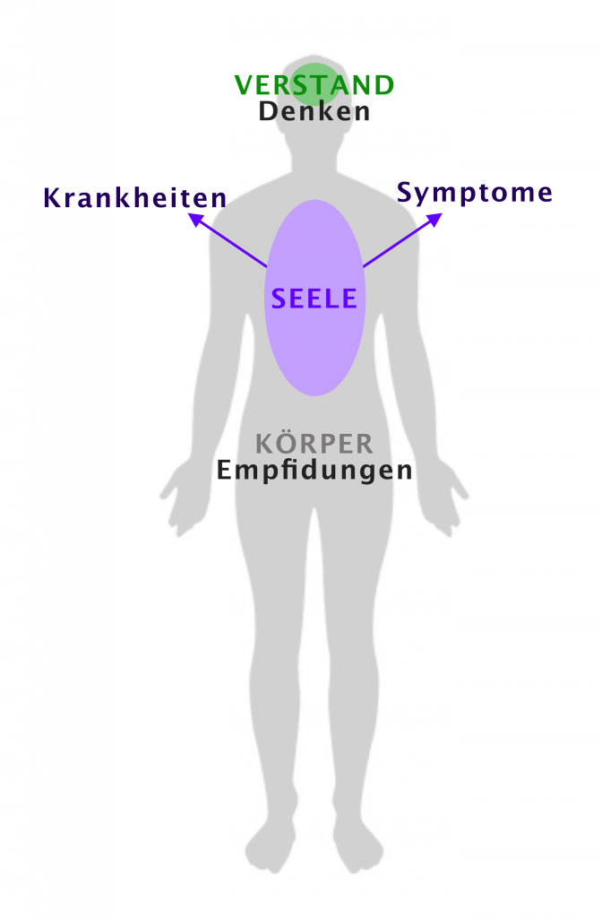 Verstand, Seele, Körper in einen Körper eingemalt