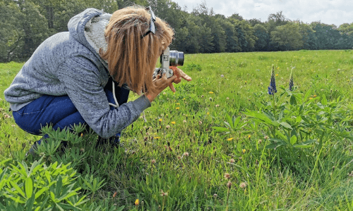 Frau, die Blumen fotografiert