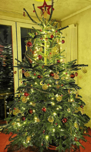 Geschmückter Weihnachtsbaum