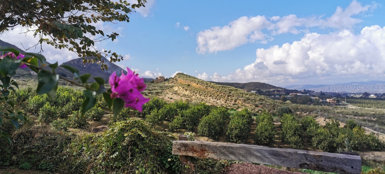 Blick vom Cortijo über die Landschaft