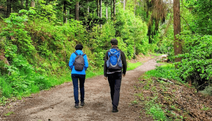 Wanderndes Paar im Wald