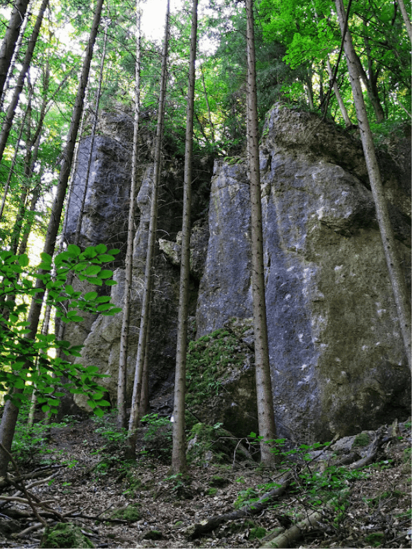 Kletterfels Christinenwand