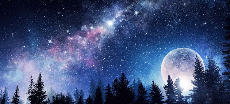 Die Wünsche des Bauern: Milchstraße und aufgehender Mond hinter Tannen