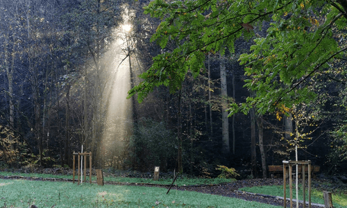 Jahresrückblick 2022, Lichtschutzengel schwebt durch Bäume