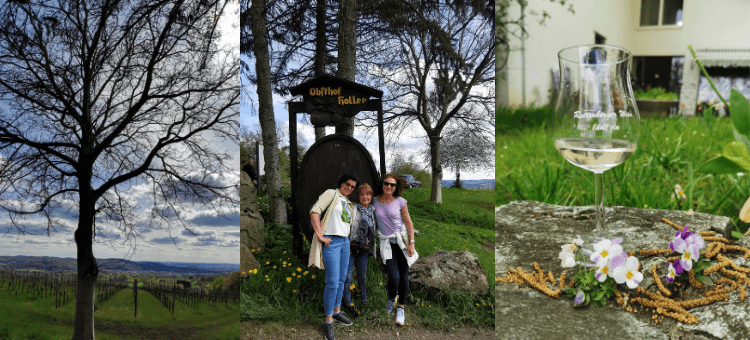 Links: Weinberge, Mitte: 3 Frauen vor Werbung, rechts: Weinglas auf Steinmauer