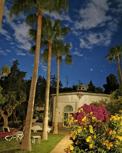 Herzheilungs-Woche in der Casa el Morisco. Abendstimmung unter Palmen