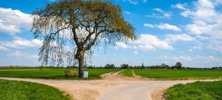 Drei Wegekreuzung mit Baum und Bank darunter. Beziehung retten? Welchen Weg geht das Paar