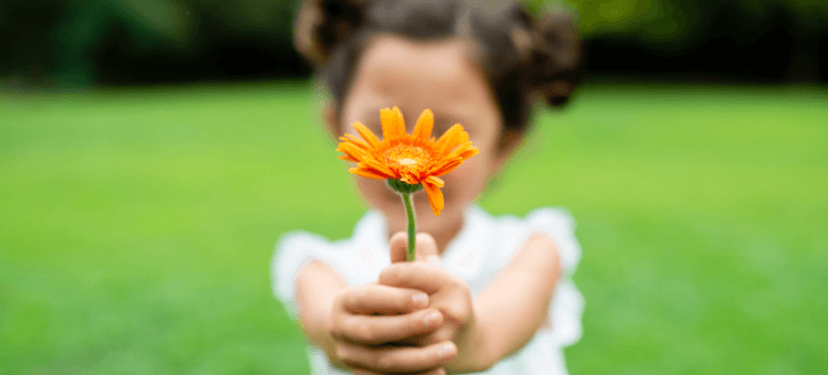 Das Vergessen der Dankbarkeit. Kind streckt eine orangene Blume jemandem entgegen