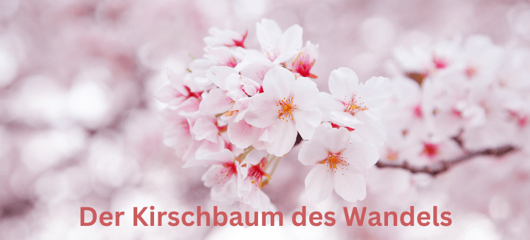 Der Kirschbaum des Wandels - ein Kirschbaumzweig mit Blüten