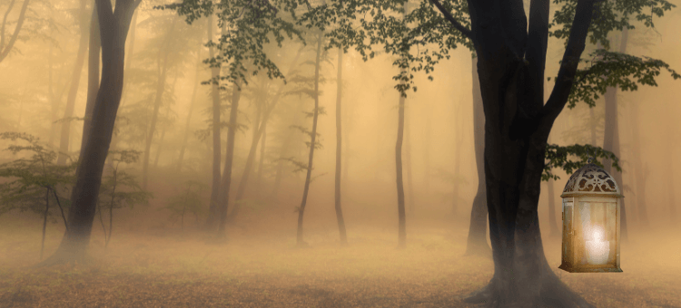 Das Leben meistern, Nebel im Wald mit einer Laterne am Ast