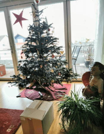 Dekorierter Christbaum im Wohnzimmer mit Stern am Fenster.