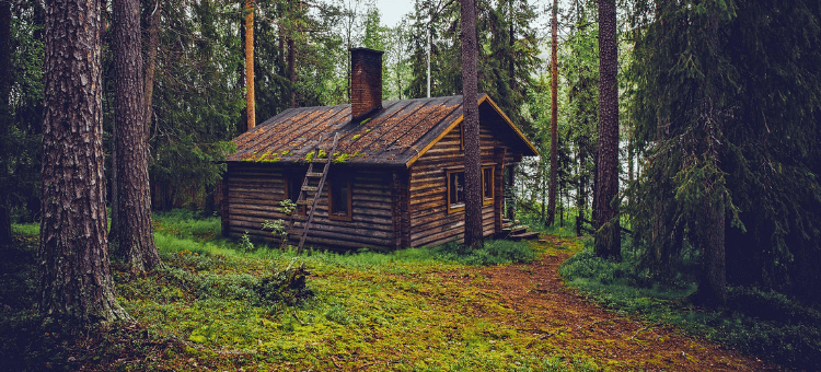 Holzhaus am Waldrand
