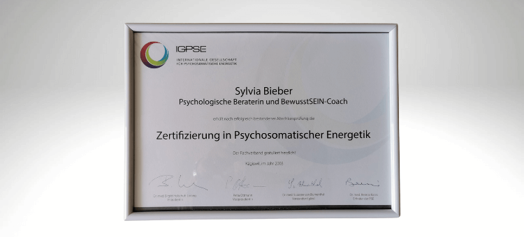 Mein PSE-Zertifikat seit 2003