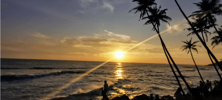 Sonnenuntergang am Meer mit Palmen im Vordergrund
