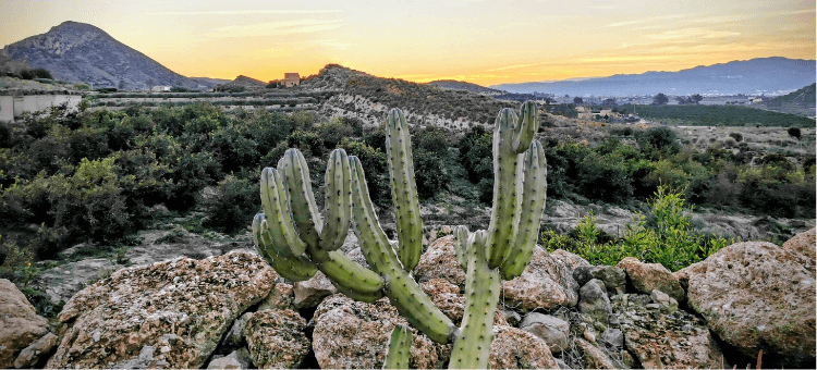 Andalusische Landschaft