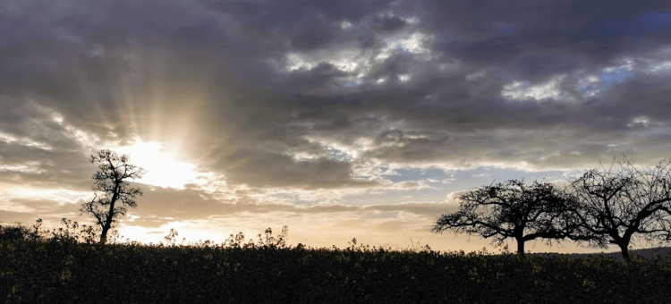 Sonnenstrahlen brechen hinter einer dunklen Wolke hervor und erhellen eine Wiese zwischen drei Bäumen